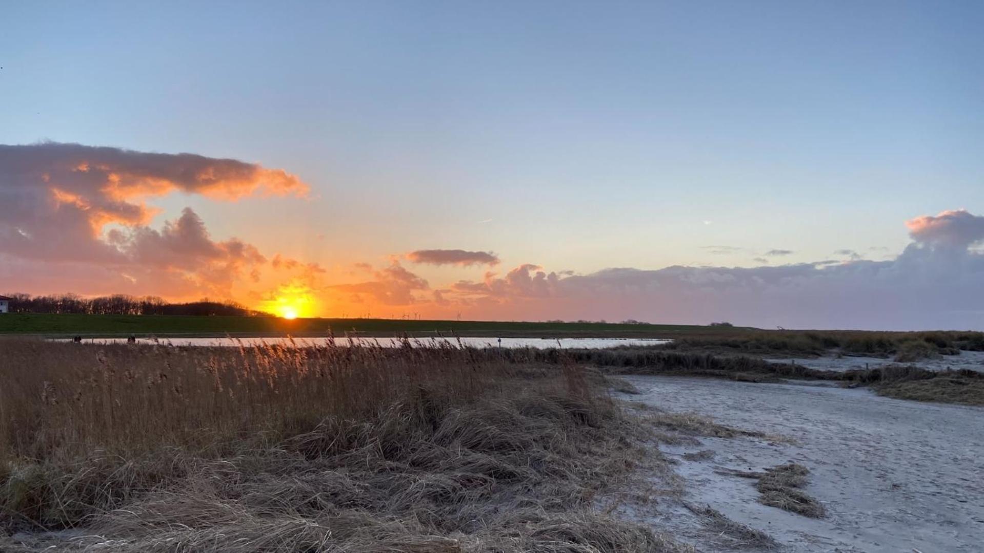 Ferien Im Wangerland - Haus Wiesenweg - Apartment 2 1Og Horumersiel Buitenkant foto