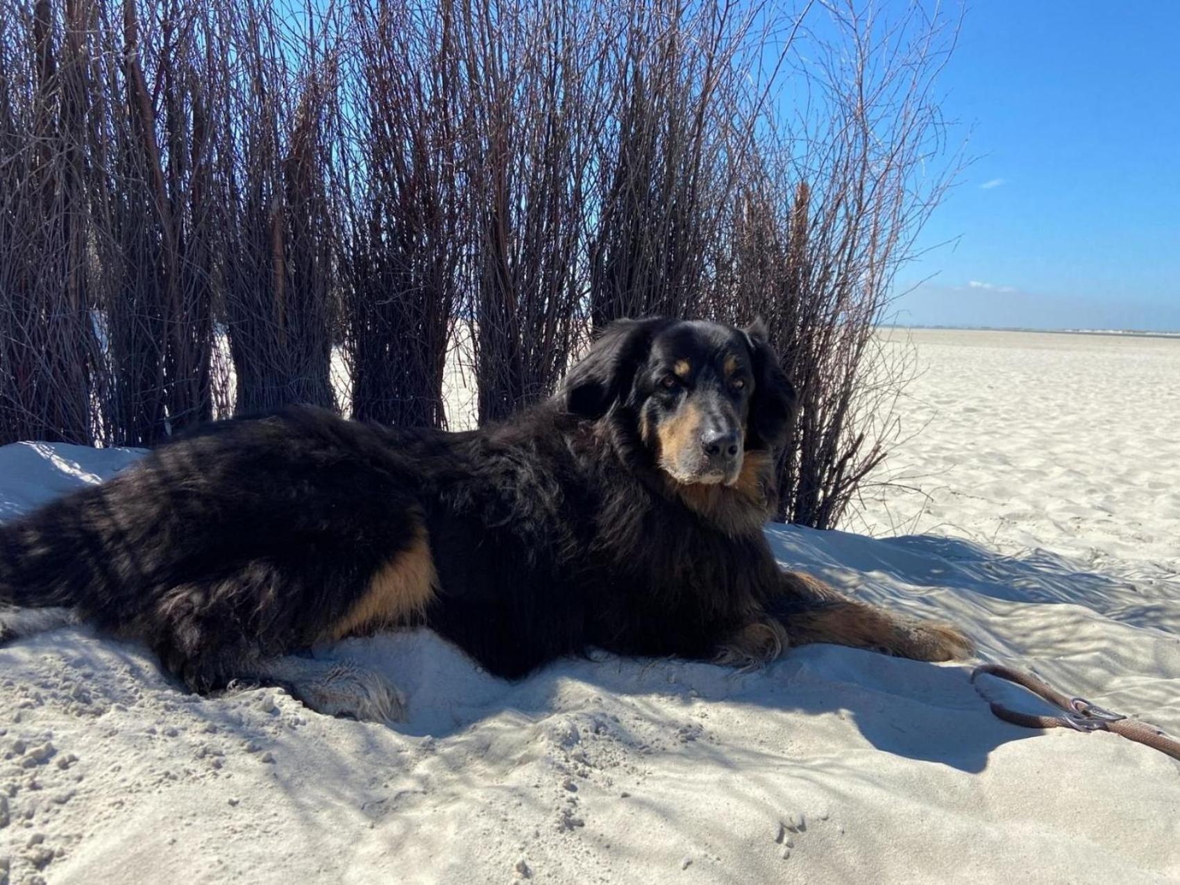 Ferien Im Wangerland - Haus Wiesenweg - Apartment 2 1Og Horumersiel Buitenkant foto